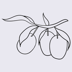 Hand drawn illustration of plum in cartoon style. Perfect for menu, card, textile, seasonal design