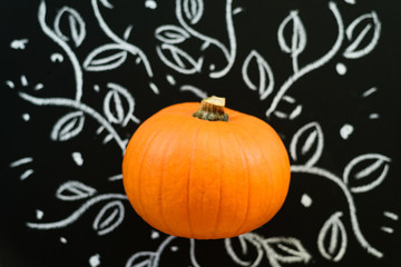 Pumpkin on blackboard