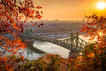 Budapest, Hungary - Liberty Bridge (Szabadsag Hid) at sunrise with beautiful autumn foliage - obrazy, fototapety, plakaty