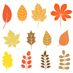 Fototapeta na wymiar Vector set with autumn leaves in flat style in orange, yellow and brown colors for icons and graphic design
