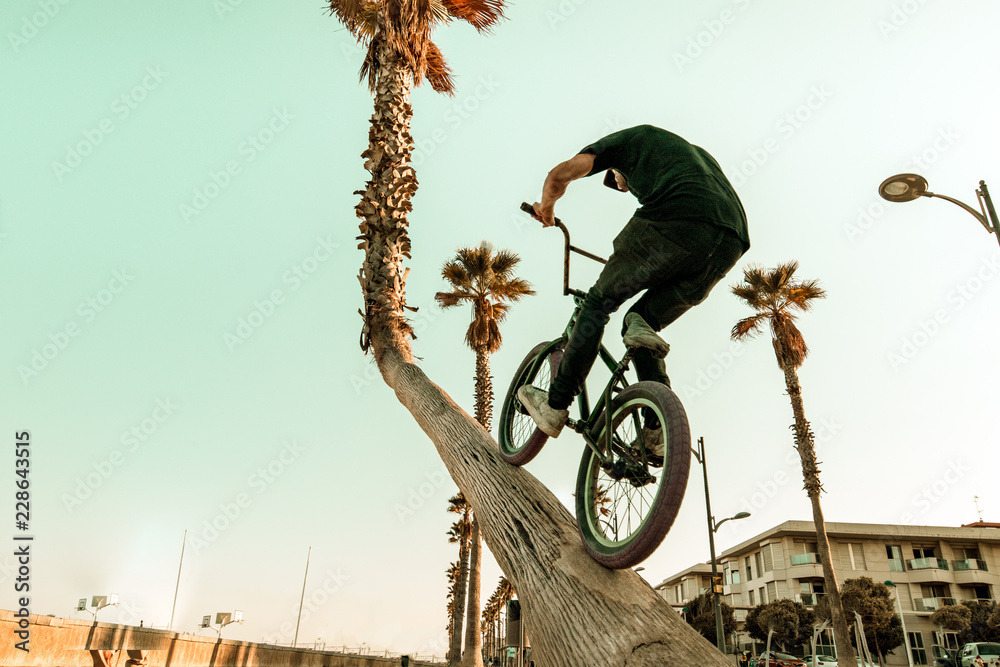 Sticker Bmx bike rider riding on the street