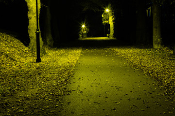 Obraz premium Night park with alley late autumn