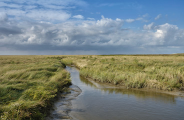 Salzwiesen mit Priel in Sankt Peter-Ording an der Nordsee,Nordfriesland,Schleswig-Holstein,Deutschland