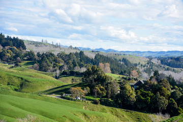 The hills of napier