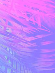 Abstract vibrant ultra violet illustration of palm leaves