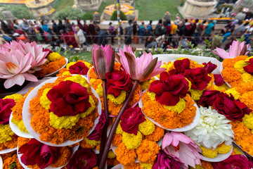 仏教、お供えの花。供養
