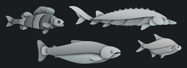 Set of cartoon fish in trendy paper cut craft graphic style. Bream, salmon, sturgeon, perch. Modern design for advertising, branding greeting card, cover, poster, banner. Vector illustration.