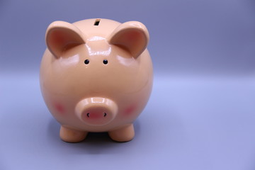 Piggy bank with savings