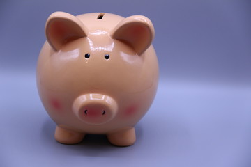 Piggy bank with savings