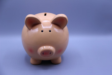 Piggy bank with savings