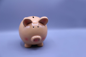Piggy bank with savings