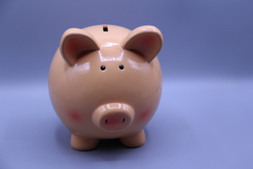 Piggy bank with savings