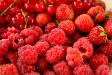 Малина, смородина и клубника 