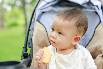 Infant baby boy eating cracker biscuit sitting on stroller in nature park.