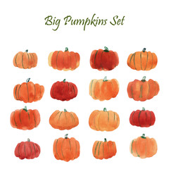 Big watercolor pumpkin collection, illustration isolated on white
