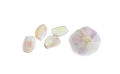 Garlics isolated on white background