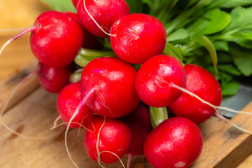 Bund roter Radieschen auf rustikalem Holzbrett