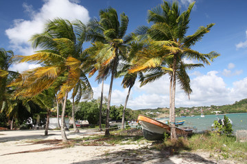Fototapeta na wymiar Martinique, plage de pécheurs à la pointe du Marigot