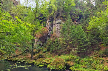 Picturesque summer landscape of flowing Kamenice River and ancient rocks in green forest. Bohemian Switzerland National Park. Touristic place and travel destination in Europe. Hrensko, Czech Republic