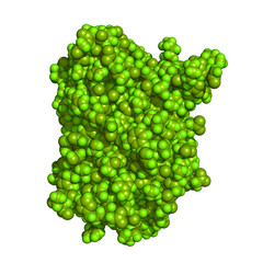 Green fluorescent protein is a biosensor often used in molecular biology as a reporter of expression. Space-filling molecular model.