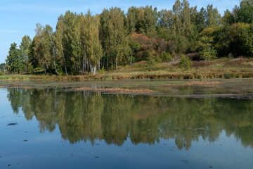 Fototapeta na wymiar Осень в лесу, озеро.