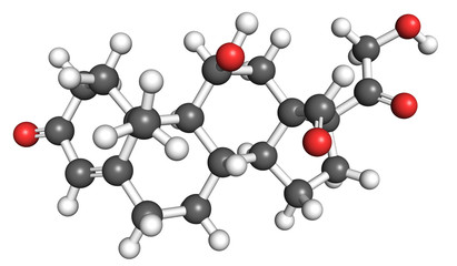 Aldosterone is a steroid hormone secreted by the adrenal cortex in the adrenal gland, important for regulating blood pressure. Ball and stick model, conventional coloring of atoms.