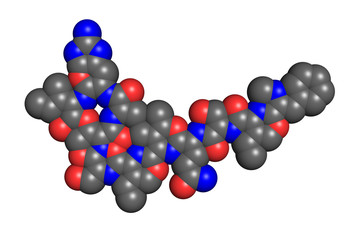 Teixobactin is a recently discovered antibiotic, active against most gram-positive bacteria such as Staphylococcus aureus, Mycobacterium tuberculosis and many more. Flattened space-filling model.