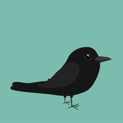 An illustration of a cute crow