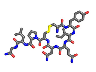 Oxytocin is a hormone that plays a role in intimacy, social bonding and sexual reproducion. Flattened 3D model.