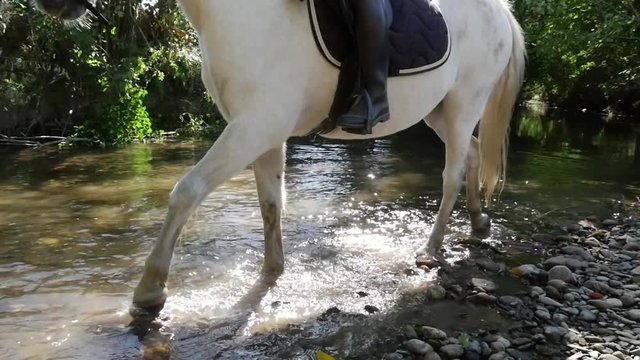 Woman on horseback rides in the river, slow motion