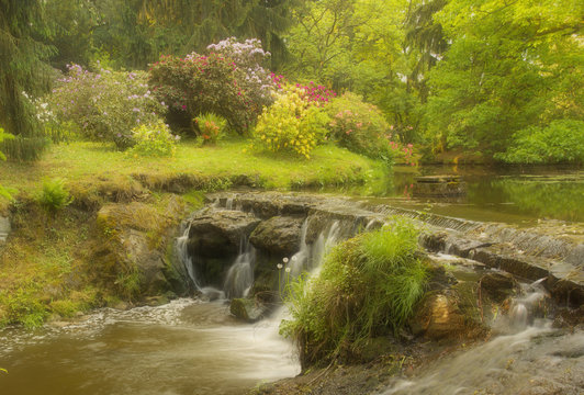 Park with color flowers and flying water in the brook, version with a soft filter
