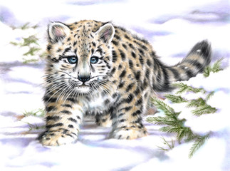 Fototapeta na wymiar Snow leopard cub pastel painting