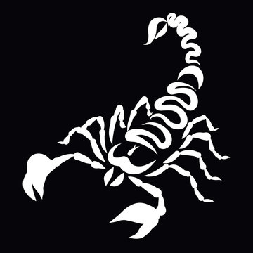 Scorpion on a black background, creative pattern