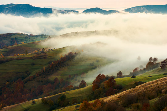 fog and rising clouds roll over the rural hills. gorgeous autumn scenery in mountains at dawn