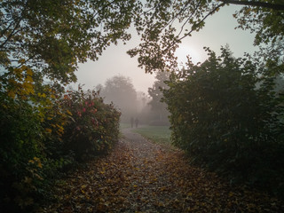 The autumn path