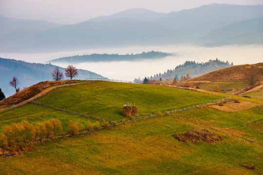 Carpathian rural area in autumn at dawn. leafless trees by the road. haystacks on the grassy meadow. fog in the distant valley behind the hill. gorgeous countryside scenery