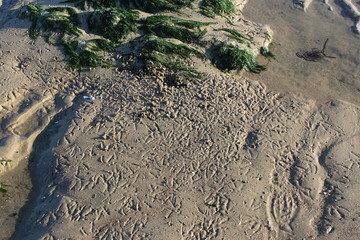 1, 10, 100, 1OOO puis z&eacute;ro