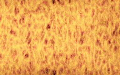 Abstract Fire Background with Flames. Wall of Fire. Glare on the water. 3D illustration