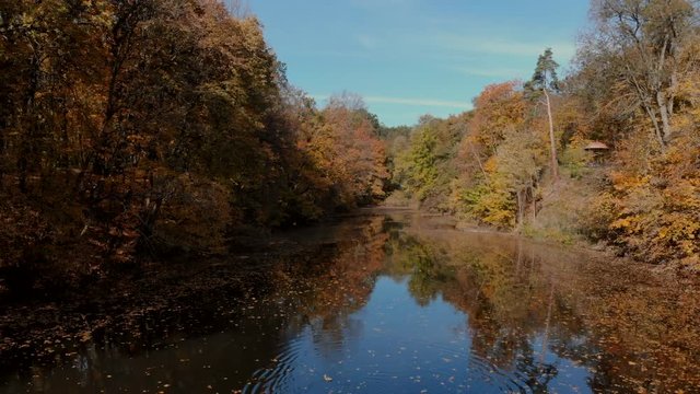 drone shot above water surface in autumn forest