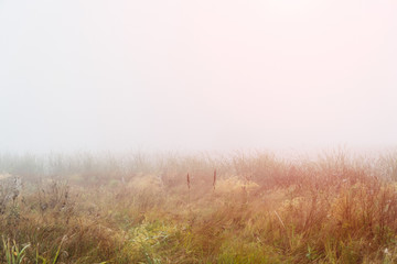 Obraz na płótnie Canvas Autumn fog over a meadow