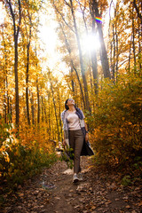 Fototapeta premium young pretty casual woman in the forest. gold autumn. female is looking up. girl is walking in the sunny park. lifestyle concept