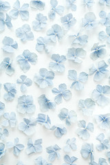 Hydrangea flower petals pattern background. Flat lay, top view.