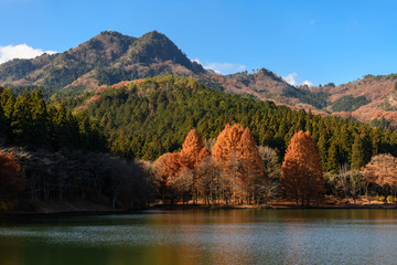 赤川ダムから見た古賀志山