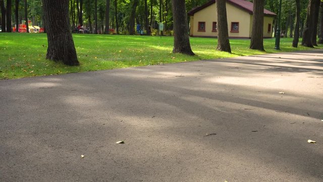 Janitor pushing cart with tools in park