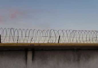 Fils de fer barbelés sur un mur