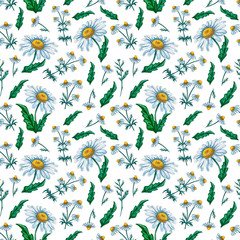 Watercolor floral seamless pattern with wildflowers.