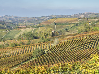 Fototapeta na wymiar View of the Langhe landscape, a countryside in Piedmont. It's very popular in Italy because of the good wines and food