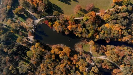 drone flight over autumn forest