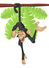 Cartoon monkey chimpanzee hang down the tree © drawkman