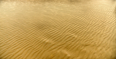 Small dunes when the wind blows path forming beautiful pleats on desert sand